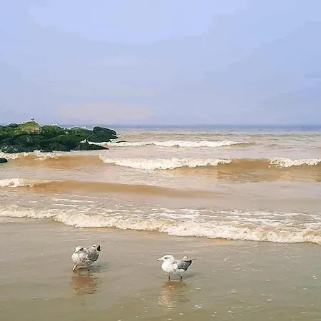 In By The Beach, Cleaning Included * 니우포르트